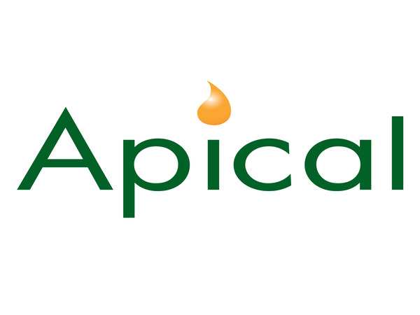 Apical